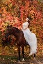 A beautiful young bride sits astride a horse. Autumn Forest Royalty Free Stock Photo