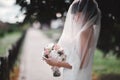 Beautiful young bride in a white luxury dress and in a bridal veil with a bouquet of flowers posing outdoor. wedding portrait. Royalty Free Stock Photo