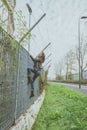 Beautiful young brunette climbing over a fence Royalty Free Stock Photo