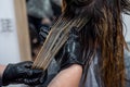 beautiful young brunette girl sitting on the procedure of hair coloring at the best master. Royalty Free Stock Photo