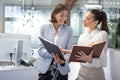 Beautiful young business women discussing paperwork in office. Royalty Free Stock Photo