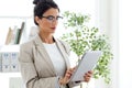 Beautiful young businesswoman using her digital tablet in the office. Royalty Free Stock Photo