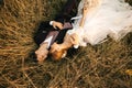 Beautiful young couple bride and groom lie in the grass and hug Royalty Free Stock Photo