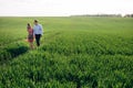 Beautiful young couple holding hands and walking in sunshine in spring meadow. Happy family embracing in green field in sunlight. Royalty Free Stock Photo