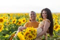 A beautiful young couple a man and a woman, embrace in a field of sunflowers at sunset Royalty Free Stock Photo