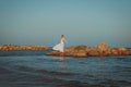 Beautiful young elegant pregnant blond woman in a blue hat walks on the beach, seashore at sunset. sea. Motherhood. Royalty Free Stock Photo