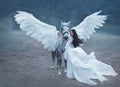 Beautiful, young elf, walking with a unicorn. She is wearing an incredible light, white dress. Art hotography