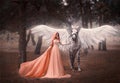 Beautiful, young elf, walking with a unicorn. She is wearing an incredible light, white dress. Art hotography Royalty Free Stock Photo