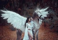 Beautiful, young elf, walking with a unicorn. She is wearing an incredible light, white dress. Art hotography Royalty Free Stock Photo