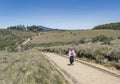 Beautiful young european woman walking on road at the Horton`s plains national park