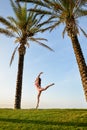 Beautiful young exciting woman in bikini jump Royalty Free Stock Photo