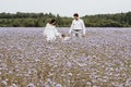 Beautiful young family with a boy resting in a field of flowers. Royalty Free Stock Photo