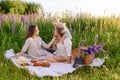 Beautiful young family dad and mom with a little baby girl sitting on a picnic Royalty Free Stock Photo