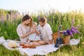 Beautiful young family dad and mom with a little baby girl sitting on a picnic Royalty Free Stock Photo