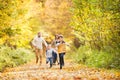 Beautiful young family on a walk in autumn forest. Royalty Free Stock Photo