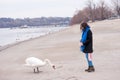 Beautiful young girl in the black coat feeding the swan on the beach near river or lake water in the cold winter weather, animal f