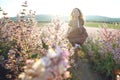 Beautiful young girl child runs across the field with flowers at sunset Royalty Free Stock Photo