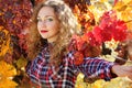 Beautiful young girl in colorful grape vineyard Royalty Free Stock Photo