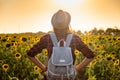 Beautiful young girl enjoying nature on the field of sunflowers at sunset Royalty Free Stock Photo