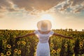 Beautiful young girl enjoying nature on the field of sunflowers at sunset Royalty Free Stock Photo