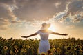 Beautiful young girl enjoying nature on the field of sunflowers at sunset Royalty Free Stock Photo