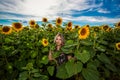 Beautiful young girl enjoying nature on the field of sunflowers at sunset Royalty Free Stock Photo