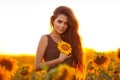 Beautiful young girl enjoying nature on the field of sunflowers at sunset. Summertime. Attractive brunette woman with long healthy Royalty Free Stock Photo