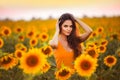 Beautiful young girl enjoying nature on the field of sunflowers at sunset. Summertime. Attractive brunette woman with long healthy Royalty Free Stock Photo