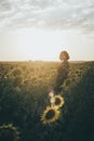 A beautiful young girl in a field of sunflowers Royalty Free Stock Photo