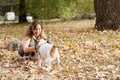 Beautiful young girl with her Yorkshire terrier dog puppy enjoying and playing in the autumn day in the park selective focus Royalty Free Stock Photo