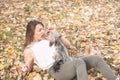 Beautiful young girl with her Yorkshire terrier dog puppy enjoying and playing in the autumn day in the park selective focus Royalty Free Stock Photo