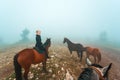 Beautiful Young Girl On A Horse In The Mountains In The Mist