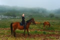 Beautiful young girl on a horse in the mountains in the mist Royalty Free Stock Photo