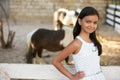 Beautiful young girl and horses in stall Royalty Free Stock Photo