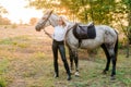 Beautiful young girl with light hair in uniform competition hugs her horse : outdoors portrait on sunny day on sunset Royalty Free Stock Photo