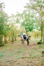 Beautiful young girl with light hair in uniform competition smiling and astride a horse in sunset