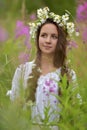 Beautiful young girl with plaits and daisies Royalty Free Stock Photo