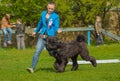 Beautiful young girl with a puppy runs Giant Schnauzer, Riesensc