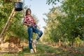 Beautiful young girl, in a red plaid shirt, and jeans, leaned on a ladder with a bucket, autumn harvest, apples, warm Royalty Free Stock Photo