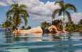 Beautiful young girl relax in swimming pool in hotel resort nearly sea beach ocean. Royalty Free Stock Photo