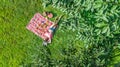 Beautiful young girl relaxing on grass, having summer picnic in park outdoors, aerial view from above Royalty Free Stock Photo