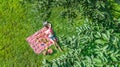 Beautiful young girl relaxing on grass, having summer picnic in park outdoors, aerial view from above Royalty Free Stock Photo