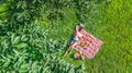 Beautiful young girl relaxing on grass, having summer picnic in park outdoors, aerial view from above Royalty Free Stock Photo