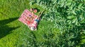 Beautiful young girl relaxing on grass, having summer picnic in park outdoors, aerial view from above Royalty Free Stock Photo