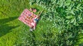 Beautiful young girl relaxing on grass, having summer picnic in park outdoors, aerial view from above Royalty Free Stock Photo