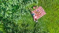 Beautiful young girl relaxing on grass, having summer picnic in park outdoors, aerial view from above Royalty Free Stock Photo