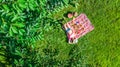 Beautiful young girl relaxing on grass, having summer picnic in park outdoors, aerial view from above Royalty Free Stock Photo