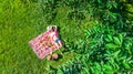 Beautiful young girl relaxing on grass, having summer picnic in park outdoors, aerial view from above Royalty Free Stock Photo