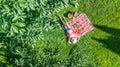 Beautiful young girl relaxing on grass, having summer picnic in park outdoors, aerial view from above Royalty Free Stock Photo