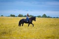 Beautiful young girl riding a horse in countryside Royalty Free Stock Photo